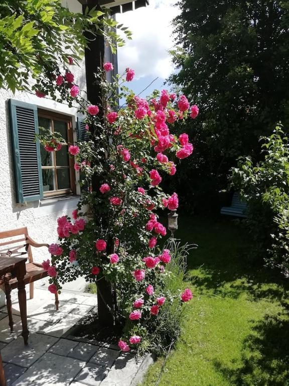 'Sissi' Ein Zaubehaftes Apartement Im Modernen Landhausstil Обераммергау Экстерьер фото